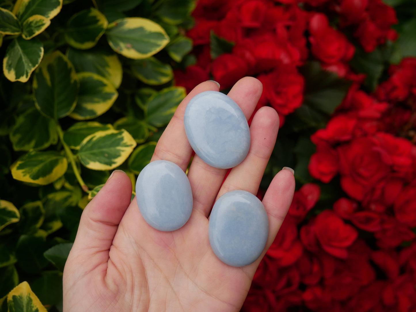 Angelite Worry Stones