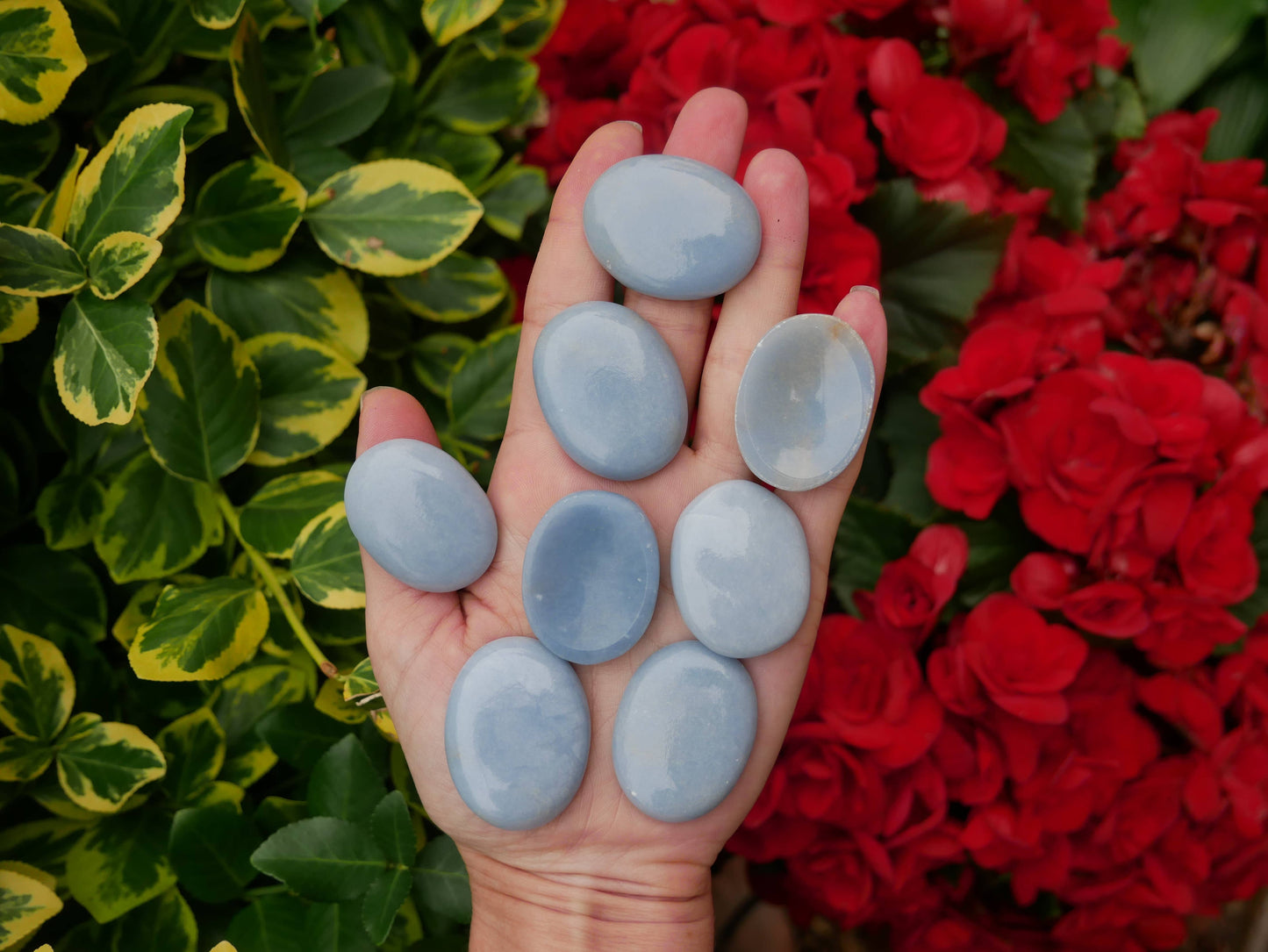 Angelite Worry Stones