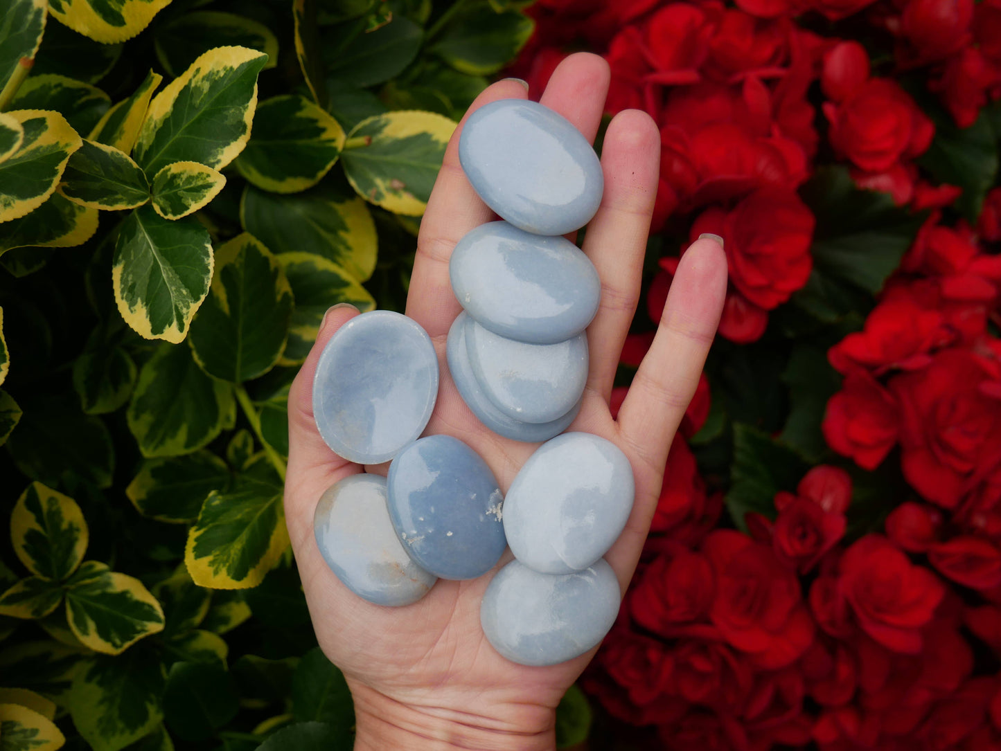 Angelite Worry Stones